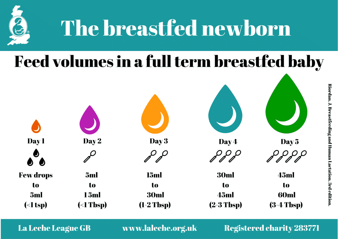 Milk Volumes How Much Milk Does A Newborn Need At Each Breastfeed