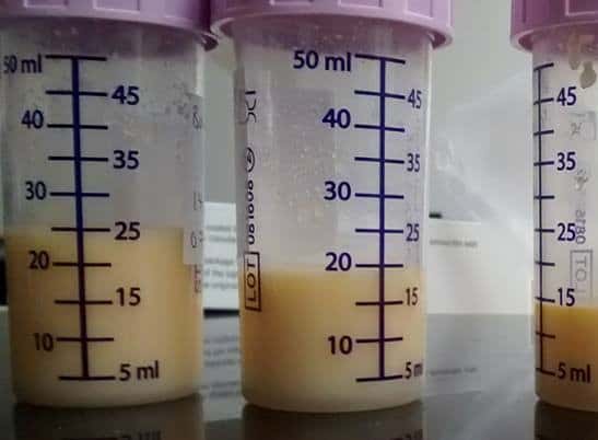 25 X 1ml Sterile Colostrum Harvesting Collector Syringe Sterifeed  Breastfeeding