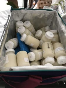 frozen bottles of human milk