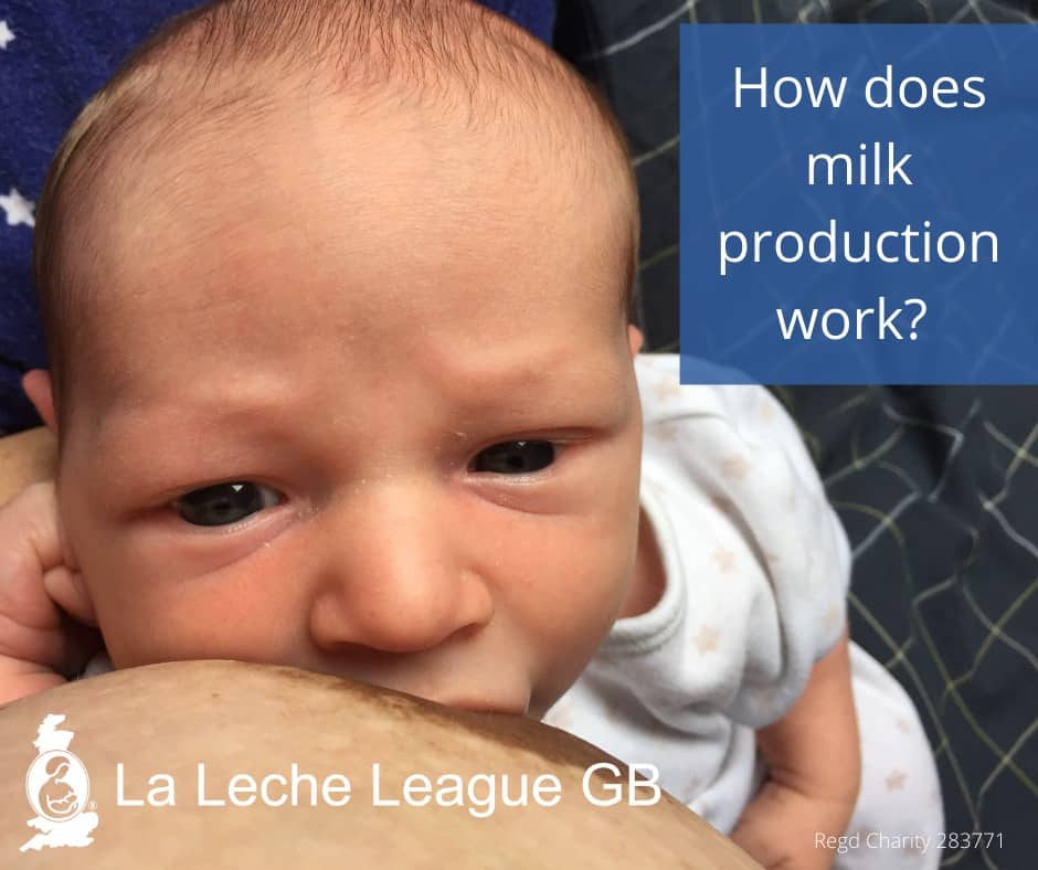 Lactation (Human Milk Production): How it Works